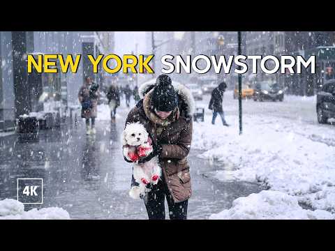 HEAVY SNOWSTORM in NEW YORK 🥶 EXTREME BLIZZARD in MANHATTAN