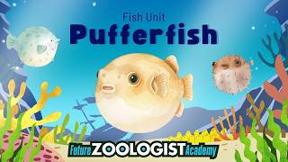 Pufferfish | Masters of Self-Defense