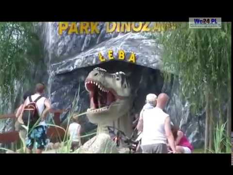 Wideo - Park Dinozaurów - YouTube