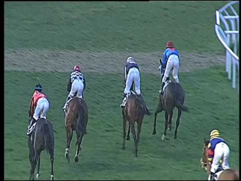 Galoppo 11/02/2017 - 4ª corsa