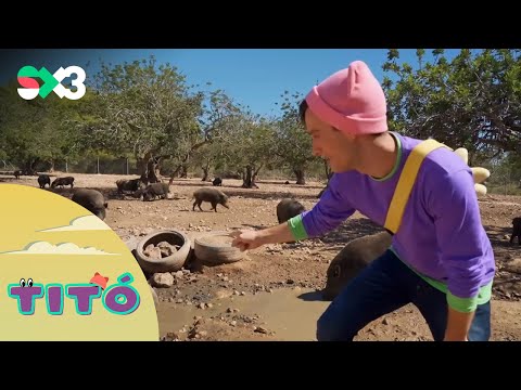 Excursió al refugi d'animals | Titó