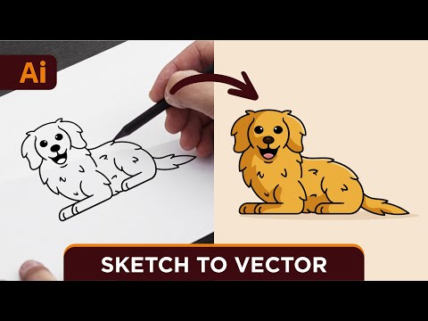 Adobe Illustrator Tutorial Create Vector Dog from Sketch HD