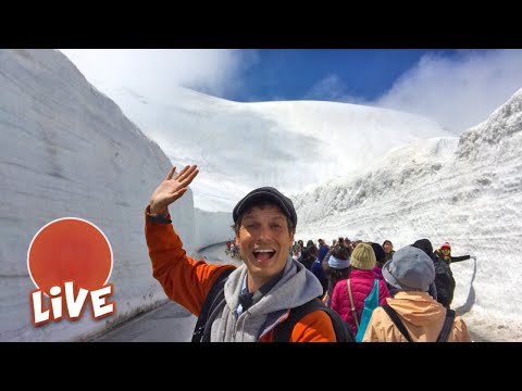 大雪壁ウォーク 立山黒部アルペンルート☆LIVE #14 (Massive Snow Wall Walk: Tateyama-Kurobe Alpine Route ☆ LIVE #14)