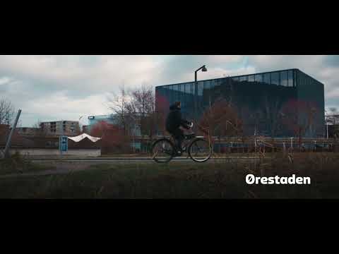 CARLSBERG X FREMAD AMAGER