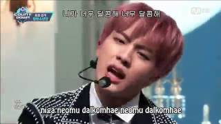 BTS - Blood Sweat &amp; Tears Fanchant