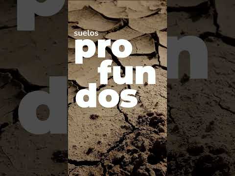 Maipú cuna del Malbec