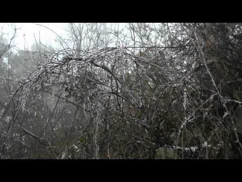 download lagu mp3 mp4 Flowers In A Riot Of Color, download lagu Flowers In A Riot Of Color gratis, unduh video klip Flowers In A Riot Of Color