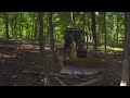 Cat D4 Forestry Dozer at Work in the Woods