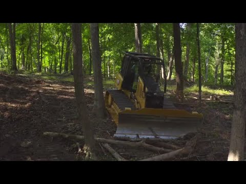 Cat D4 Forstwirtschafts-Dozer bei der Arbeit im Wald