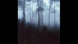 Beauty Slept In Sodom