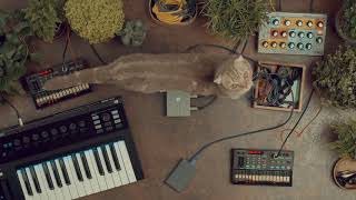 Video thumbnail for Midihub - Standalone MIDI Processor & Router by Blokas