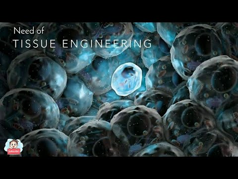 What is Tissue engineering|Tissue engineering Needs,Application,Future Scopes|Engineering Media