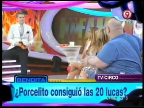 Bendita - Porcelito consiguió las 20 lucas