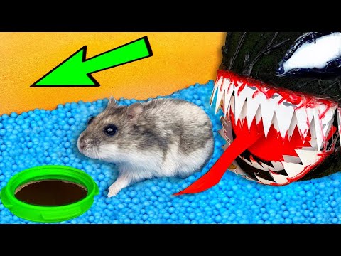 🚀 💀 VENOM Hamster Maze with Traps 😱[OBSTACLE COURSE]😱