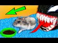 🚀 💀 VENOM Hamster Maze with Traps 😱[OBSTACLE COURSE]😱
