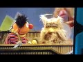 Sesame Street Put Down The Duckie 1996 DVD December 2028