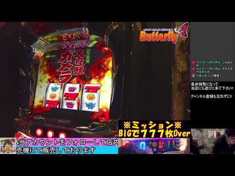 コレが噂のCタイプ🤔BIGで1000枚Overが可能❓ガメラ２🥰先バレ(ガメ)告知モード搭載😁設定1でも機械割102％😆6号機パチスロ‼️Butterfly【スロゲーセン 】