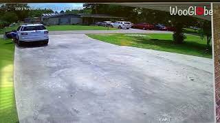 Super Mom Saves Toddler from Spider Panic in Car || WooGlobe