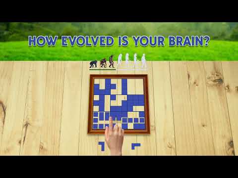 Justblock evolve table nature 16x9 23s 21 04 22 ENG