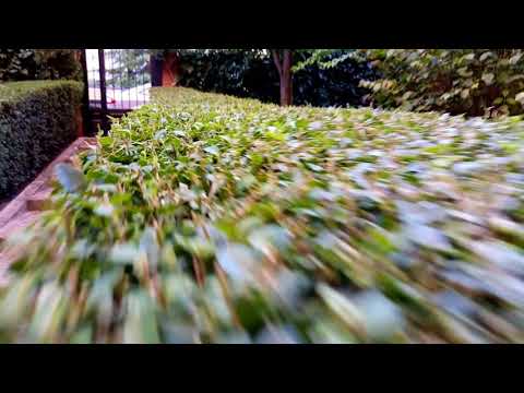 Doogee S60 - Video record sample 1