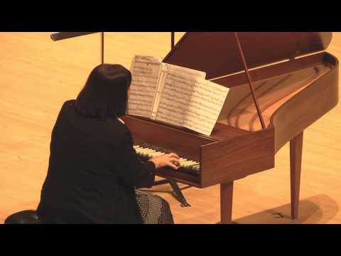 Pamela Palmer Jones - Lady Gaga Fugue