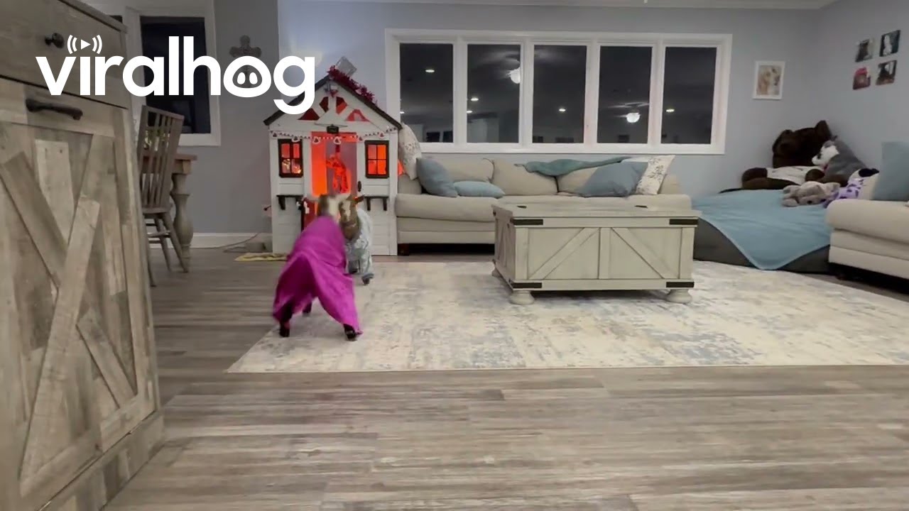 Goat Pajama Party || ViralHog