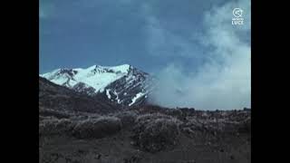 Concerto delle Quattro Stagioni di Vivaldi. L'Inverno