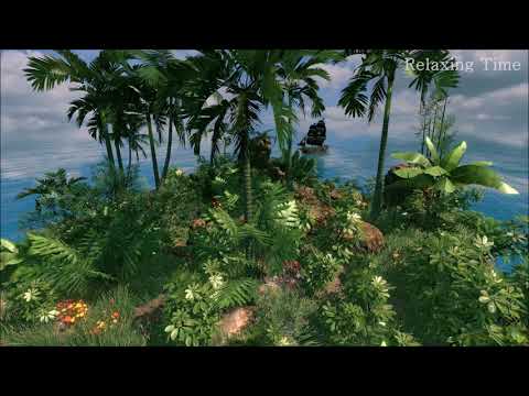 Bird nightingale singing Healing music 10 Hours