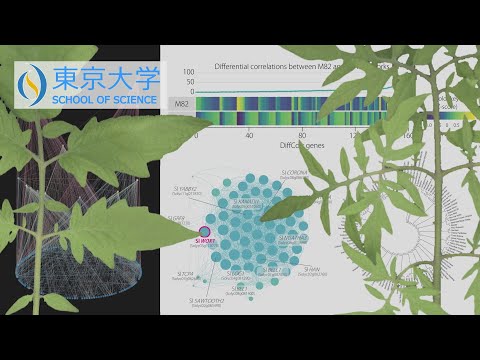 ケラトフリ科 - 定義