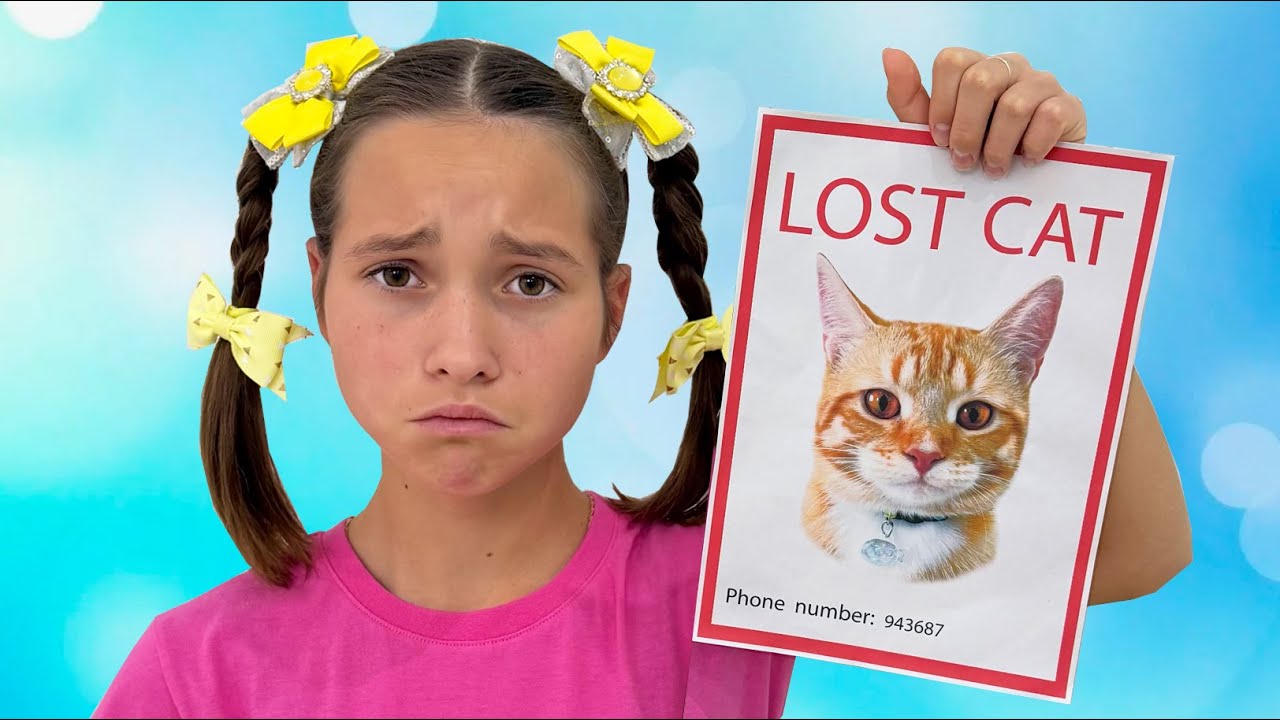 Sofia is looking for a Missing Сat!