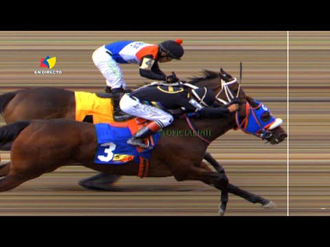 5th Race | Colder Weather | La Rinconada Racecourse | Meeting 31 | 2025