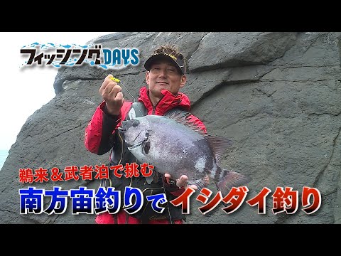 【フィッシングDAYS】#105 鵜来＆武者泊で挑む 南方宙釣りでイシダイ釣り