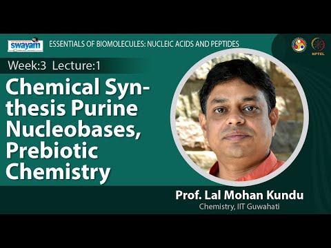 Essentials of Biomolecules Nucleic Acids and Peptides