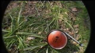 Animals That Swim The moon and the mothership