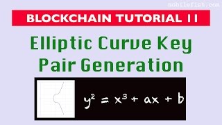 Download the video "Blockchain tutorial 11: Elliptic Curve key pair generation"