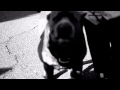 "Real Guap" Ft Beeda Weeda - Krypto - Big Rich (Official Music Video) Follow @realbeedaweeds