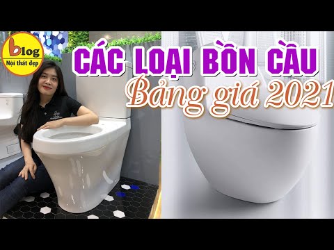 Có bao nhiêu loại?