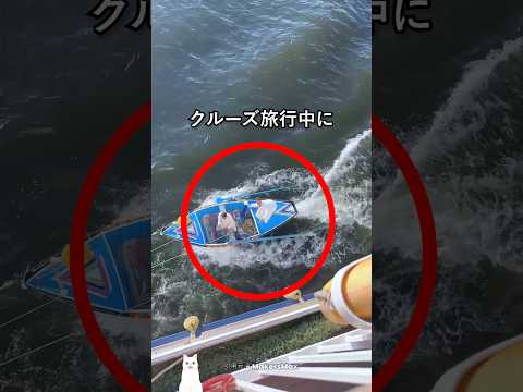 クルーズ船を追いかけていた小さなボートの正体
