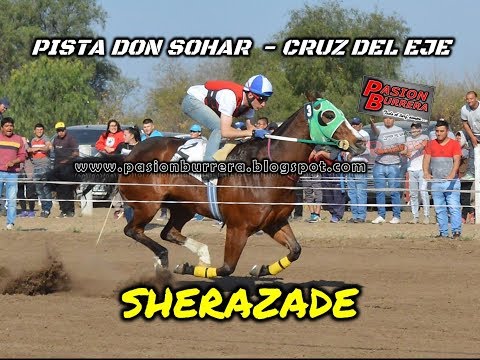SHERAZADE, Pista Don Sohar - Cruz del Eje (25-08-19)