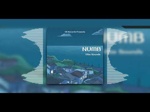 Vibe Sounds - Numb (Official Audio Visualizer)