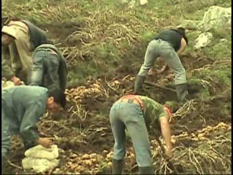 (Video) FALSA FORTUNA - Luis Emiro Murcia