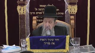 הרב בן ציון מוצפי • בית הכנסת סודאי שידור חי