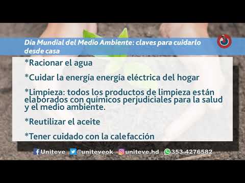 Lo que dejó el Día del Medio Ambiente