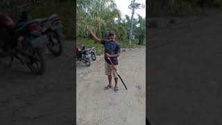 Download lagu mancing ikan gabus dengan joran tegek merk daido mp3 Download lagu mancing ikan gabus dengan joran tegek merk daido mp3