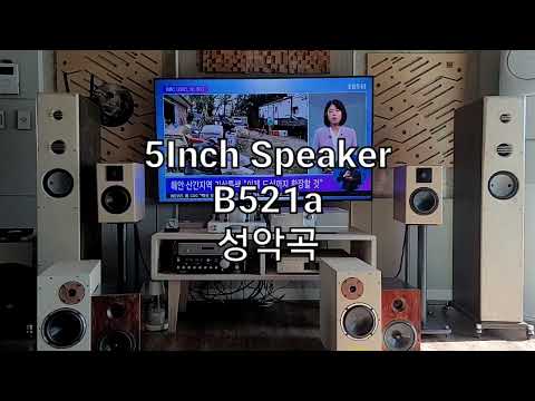 5inch 2way speaker B521a