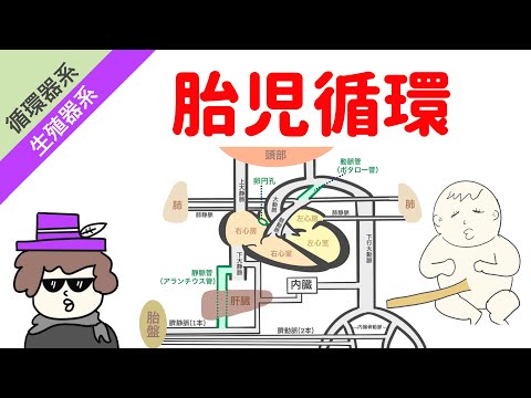 ウール異常について詳しく解説