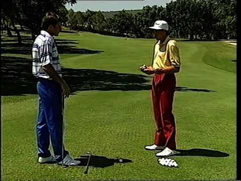 Nick Faldo's Golf Course 2