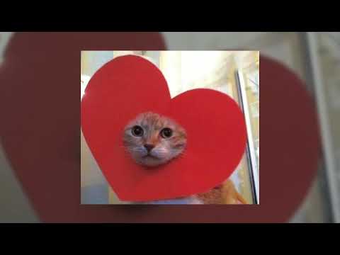 the spins ~ speed up