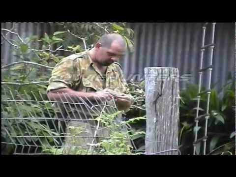 Yowiehunters Expedition, Northern NSW