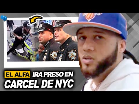 Policia de NYC Revela lo que Pasara con EL ALFA EL JEFE por estar en TETEO en New York